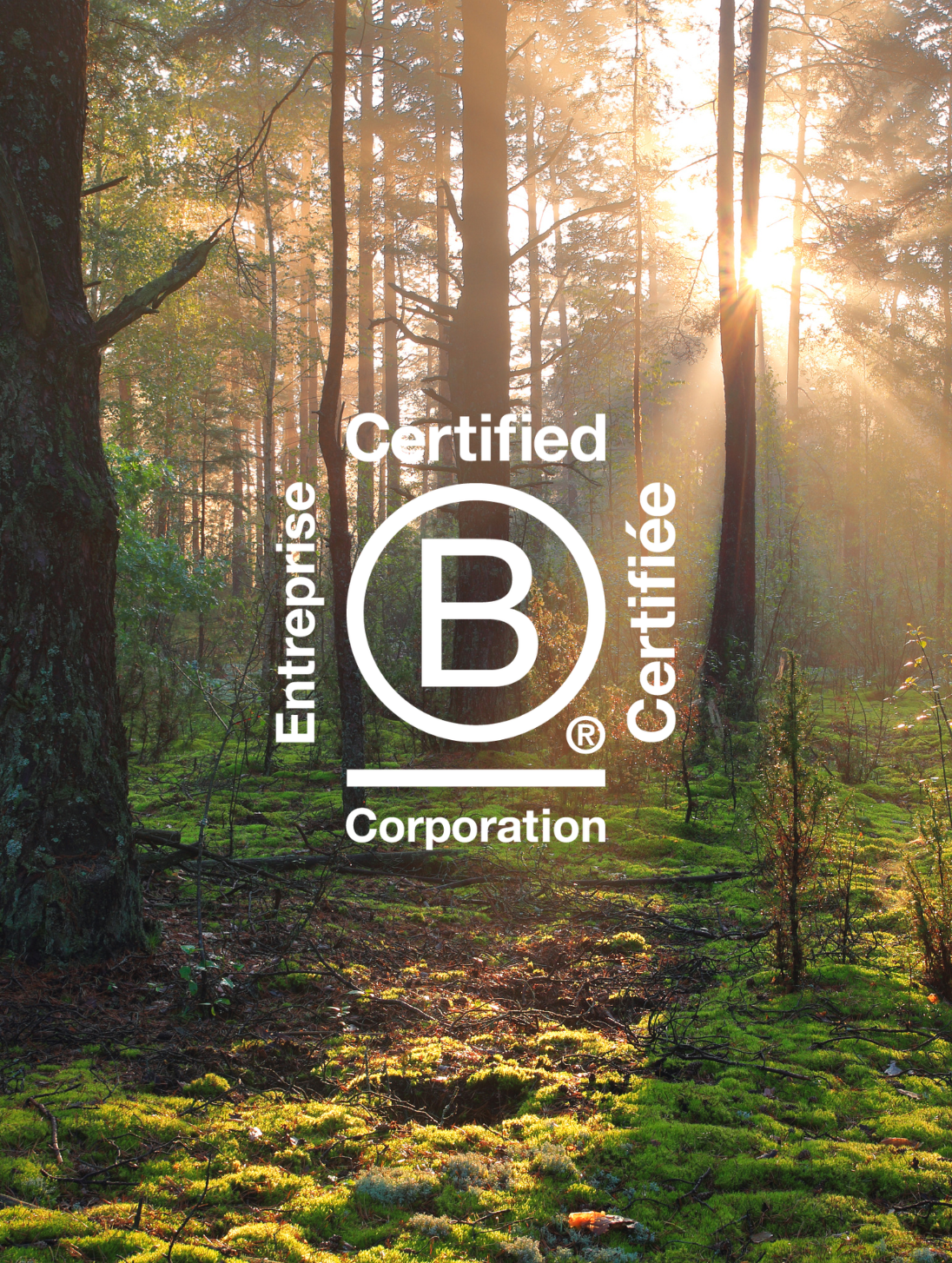 What does it mean to be B Corp™ certified ?