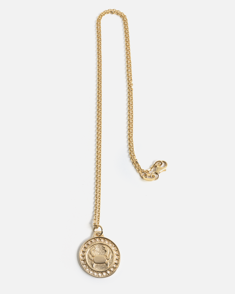 Zodiac Cancer Necklace in 14k Yellow Gold